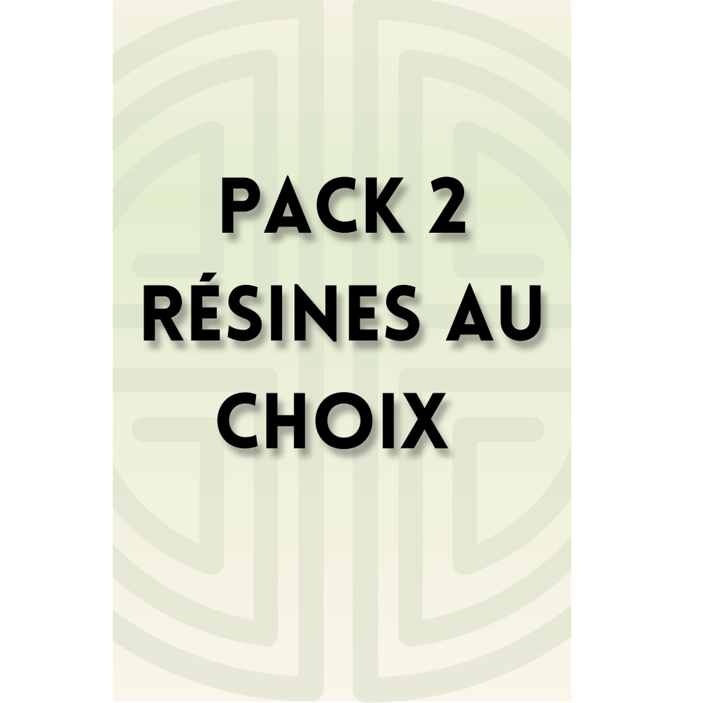 PACK 2 RESINES AU CHOIX