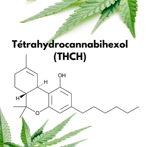 Qu’est-ce que le THCH ou tétrahydrocannabihexol