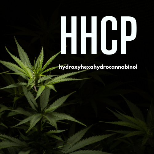 Qu’est-ce que le HHCP ou hydroxyhexahydrocannabinol
